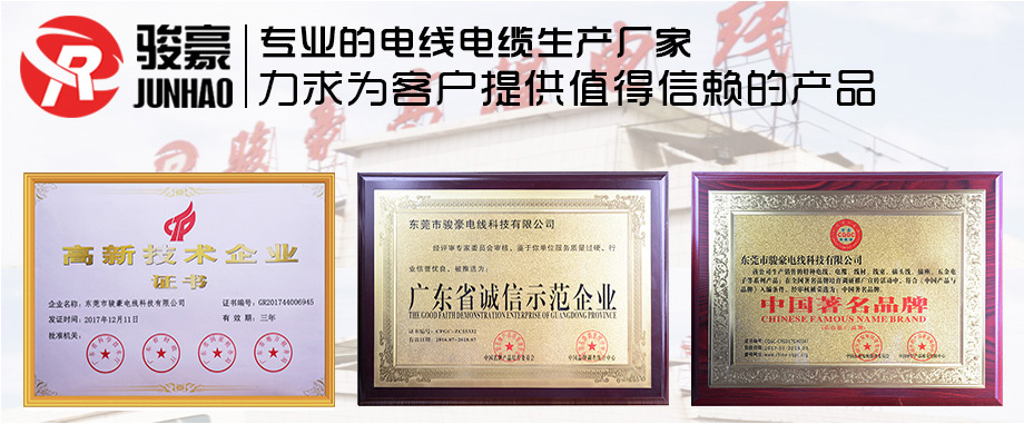 久久精品视频91電線榮譽